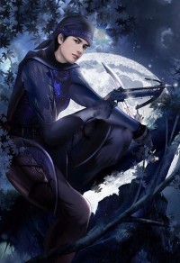 騎士武裝系統