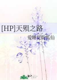 [HP]天殞之路